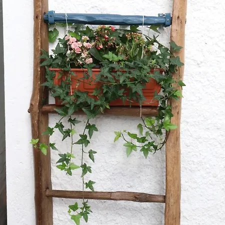 La Casetta Delle Ragazze Ribelli Guest house *
